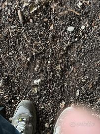 Transpallet eletrico