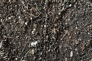 Transpallet eletrico