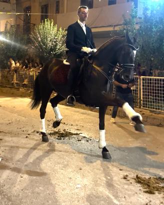 Puledrona PRE del 2021