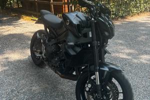 MT 09 2022