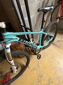 MTB BIANCHI CARBONIO
