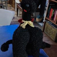 antico barboncino impagliato 