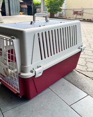 Trasportino animali