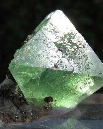 Fluorite Verde Ottaedrica con Pirite – Milpo Mine
