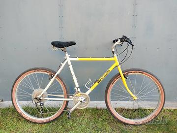 MTB VINTAGE BIEMMEZETA
