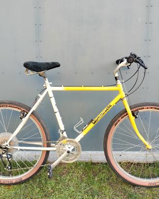 MTB VINTAGE BIEMMEZETA