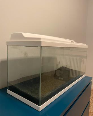 Acquario mod Aqua 80 white