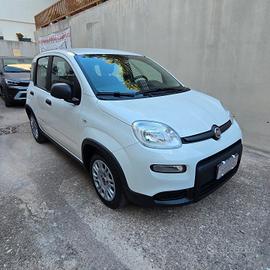 Fiat Panda 1.0 FireFly 70cv Hybrid City Life - 31.