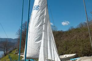 470 Bianchi & Cecchi