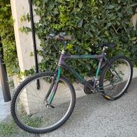 Mountain bike bicicletta vintage