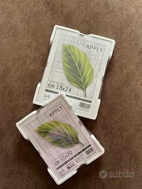 Set cornici a giorno