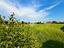 Immagine 20