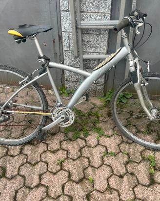 Bici da sistemare