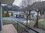 Immagine 23