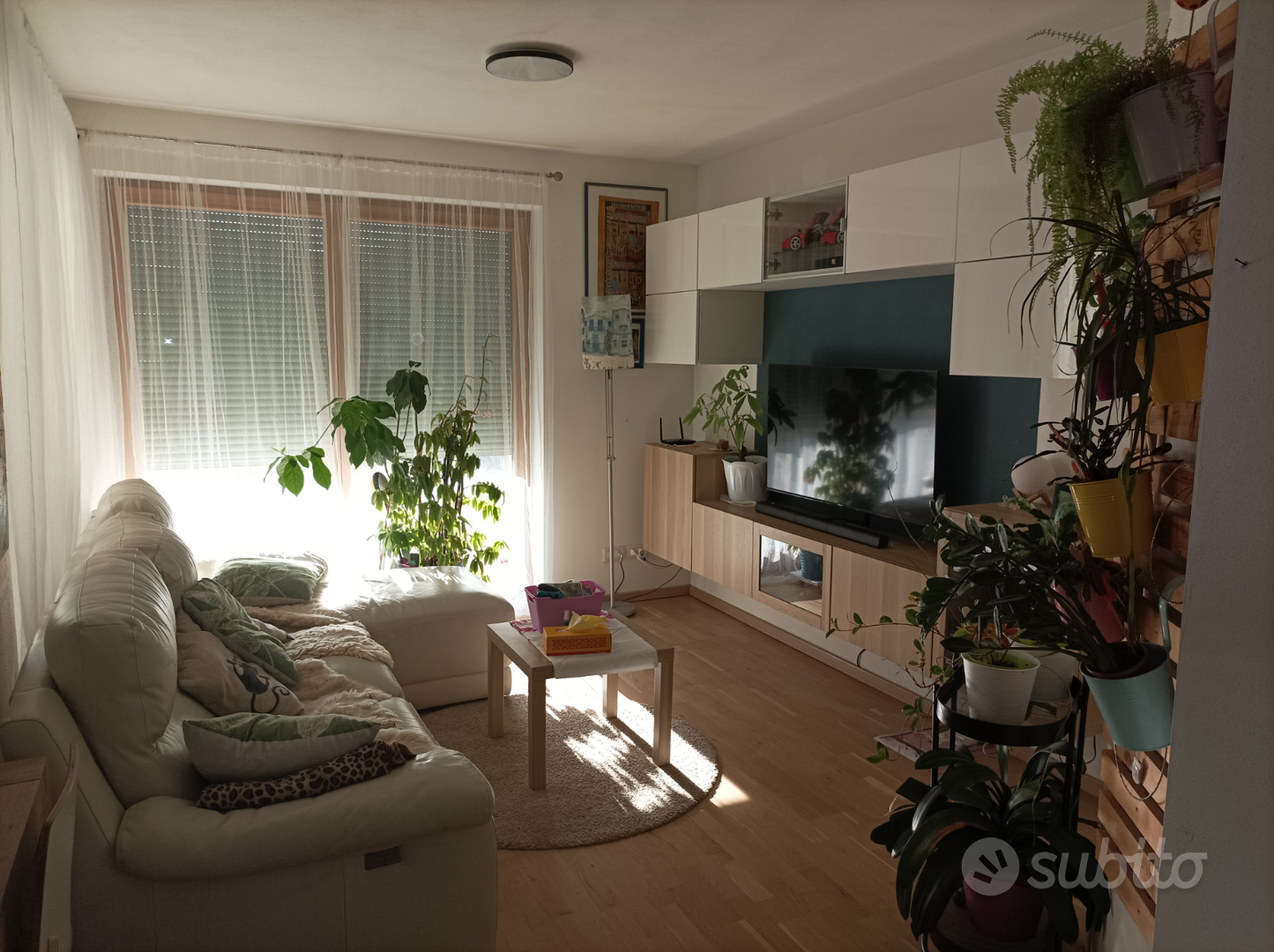 Appartamento 3 letto con ampio giardino - Vista 3