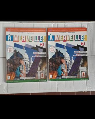 libro A Merveille 3
