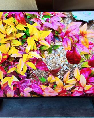 TV SAMSUNG QLED 4K 50  POLLICI 