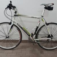 Bottecchia duello