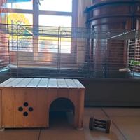 Gabbia per porcellini d'india/conigli