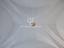 Immagine 11