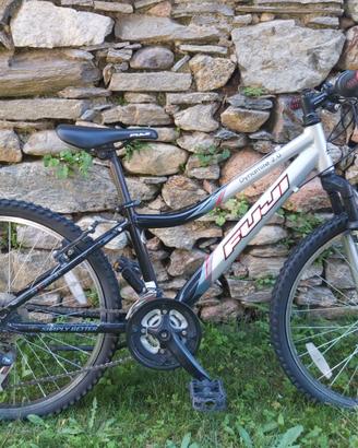 mtb fuji  Dynamite 2,0