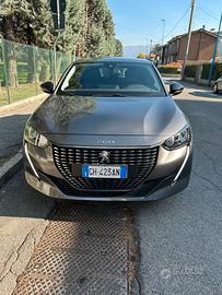 Pegeout 208