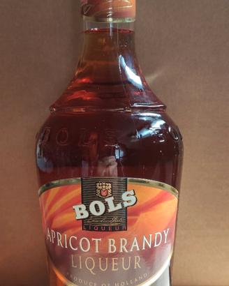 Bottiglia di Apricot Brandy Liqueur Bols