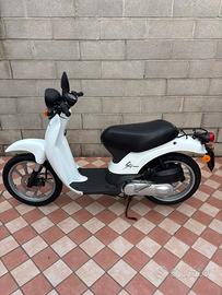 Honda Sky 50 - SGX