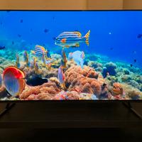 TV SONY BRAVIA 4K XR OLED A80J -55"