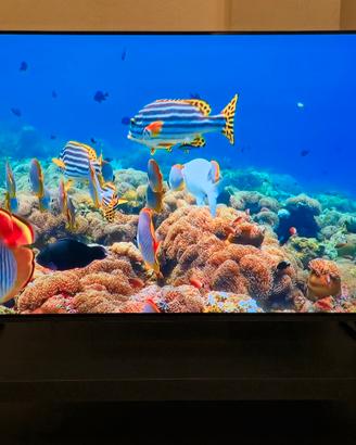 TV SONY BRAVIA 4K XR OLED A80J -55"