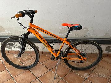 Bicicletta 