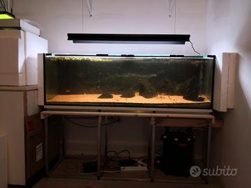 acquario 300 litri completo