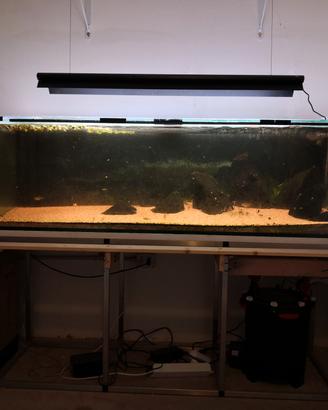 acquario 300 litri completo