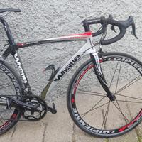 Bicicletta carbonio m campagnolo