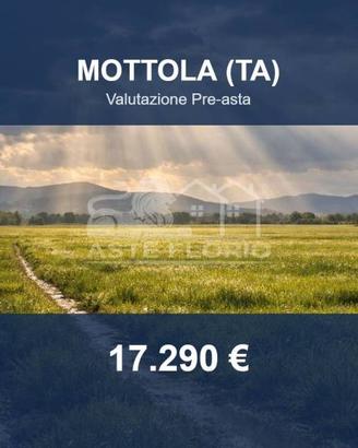 Immobile in asta di 16720 m² a Mottola