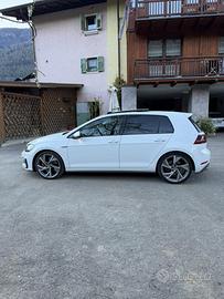 Golf Gti Performance 245cv