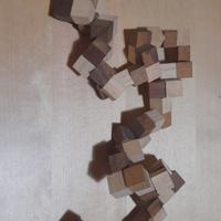 Gioco in legno puzzole 3d