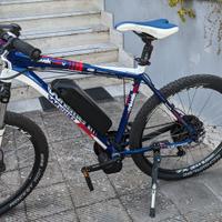 Whistle elettrificata 