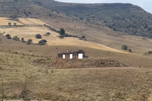 RGE 49/2024 Trib ENNA
