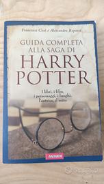 guida comoleta alla saga di Harry Potter