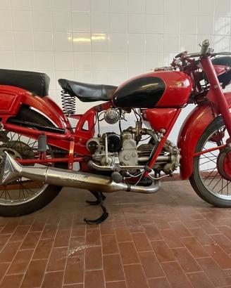 moto guzzi airone sport 250 - 1952