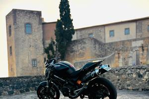 Monster 696