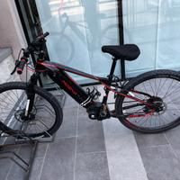 Bici elettrica