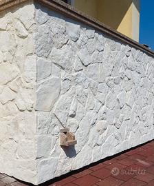 Pietra naturale Trani Burattata sp. 1/1,5 cm