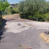 Vendita terreno agricolo