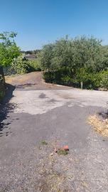 Vendita terreno agricolo