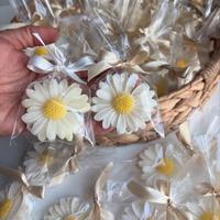 Margherita in cera di soia