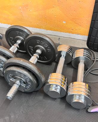 Manubri palestra