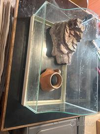 Acquario/tartarugario