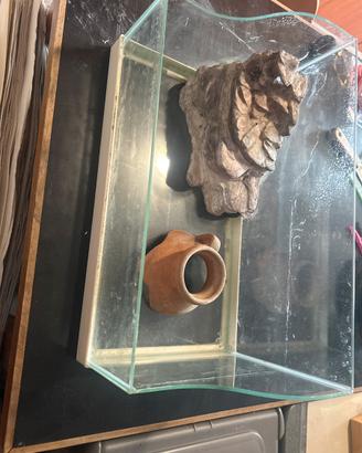 Acquario/tartarugario